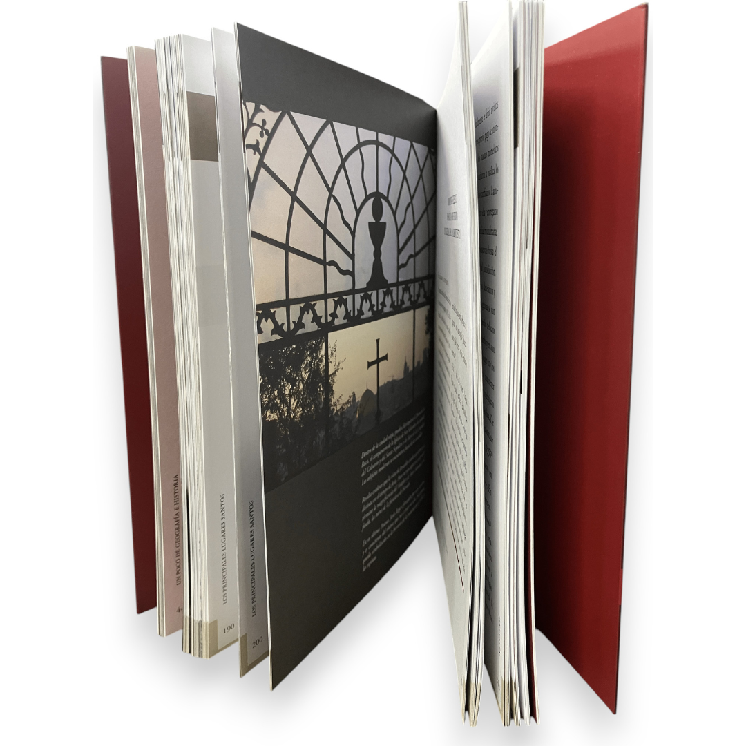 Libro: TRAS LAS HUELLAS DE DIOS EN LA HISTORIA - Imagen 2